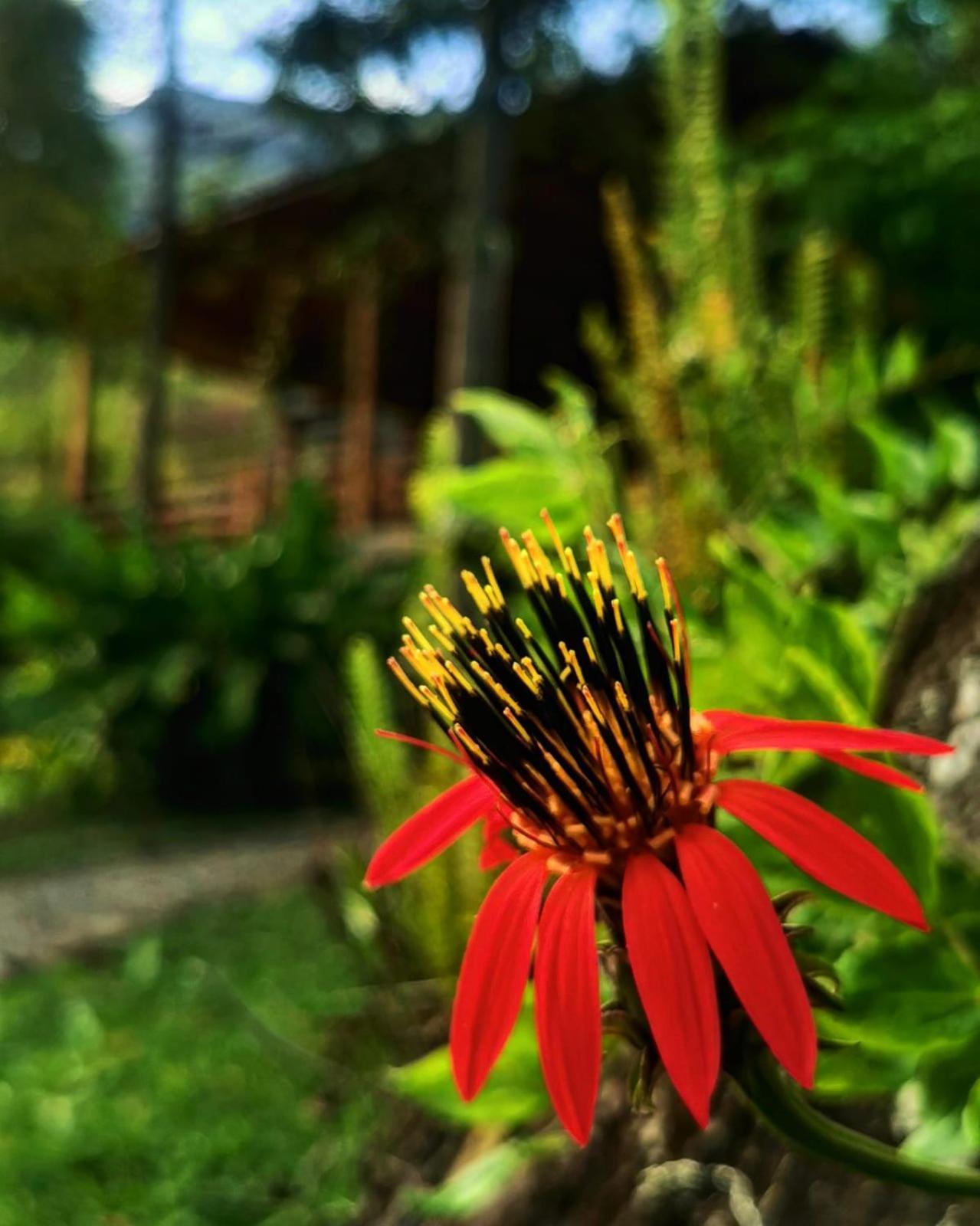 Goctamarca Lodge Cocachimba Kültér fotó